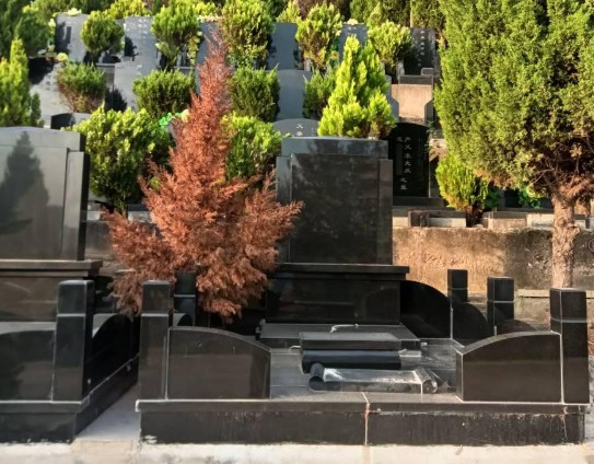 處理遺體和骨灰的權(quán)利歸屬于誰(shuí)？888-奉正塬公墓